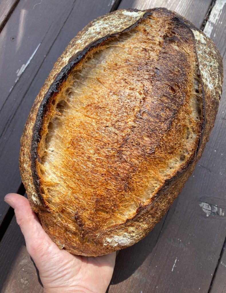 50% Whole Wheat Sourdough