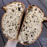 50% Whole Wheat Sourdough