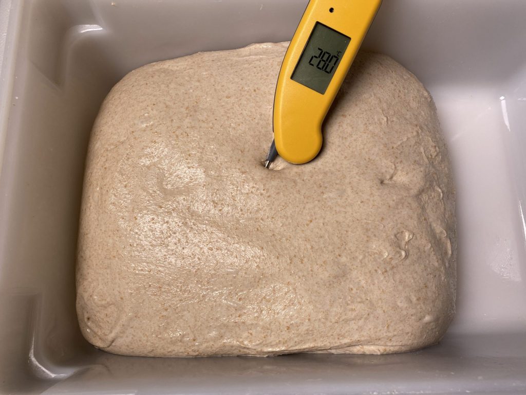 50% whole wheat sourdough FDT