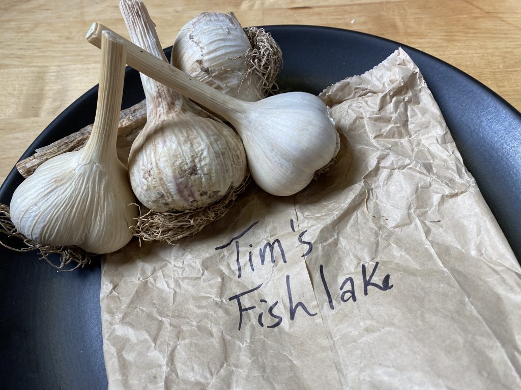organic garlic