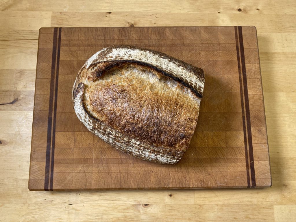 sourdough storage
