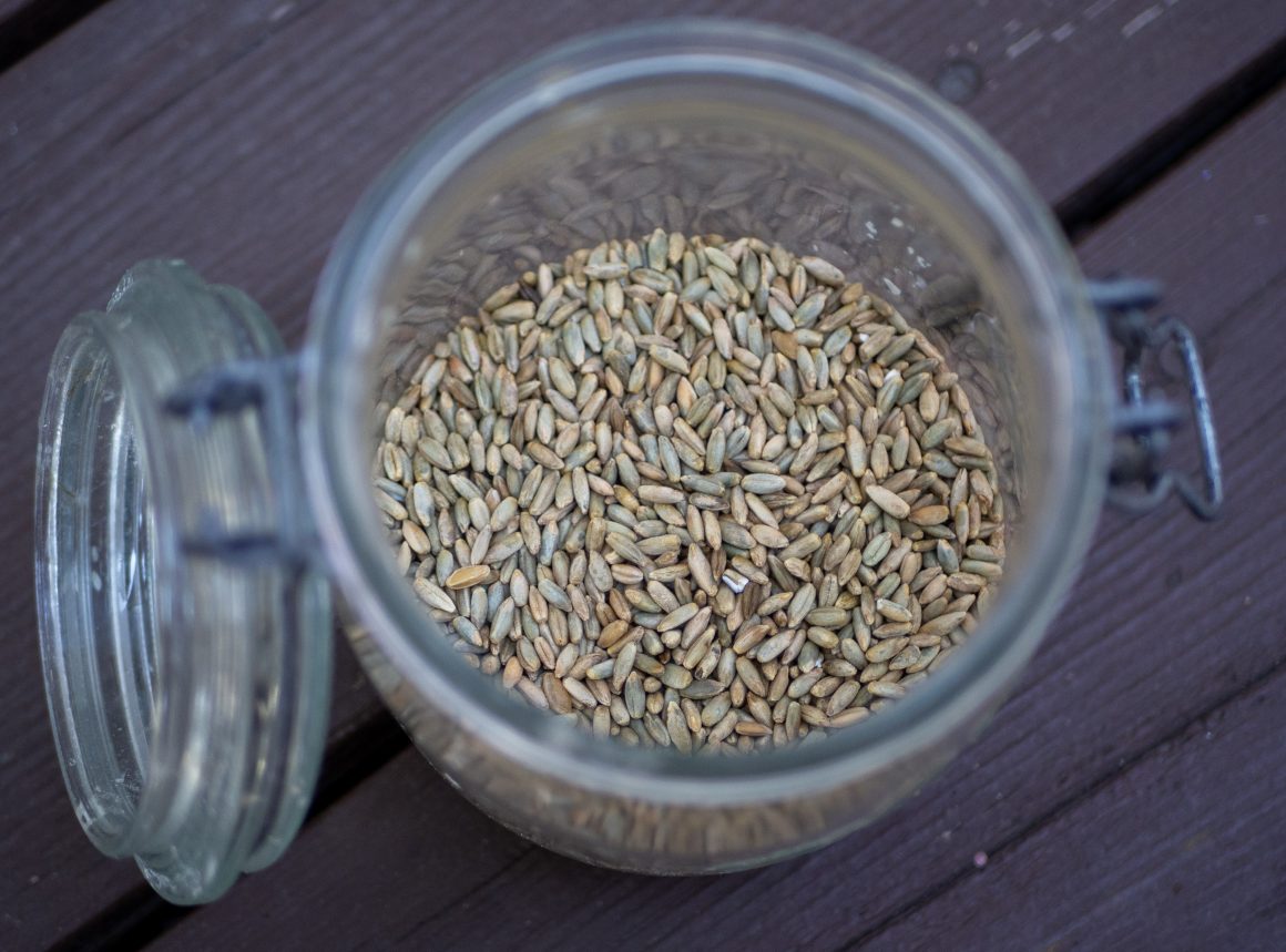 How To Make Sprouted Grains A Guide. Matthew James Duffy